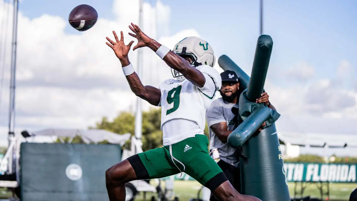 Football player catching a ball